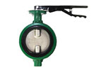 Ductile Iron x Stainless Steel Butterfly Valve